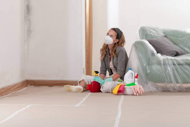 Reliable Black Mold Remediation contractor in Lebanon, OR by Car Mold Remediation